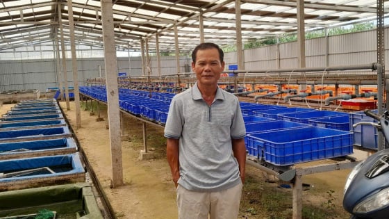Một tỷ phú Tây Ninh phất lên nhờ nuôi con đặc sản dày đặc kiểu tuần hoàn, cả làng phục lăn