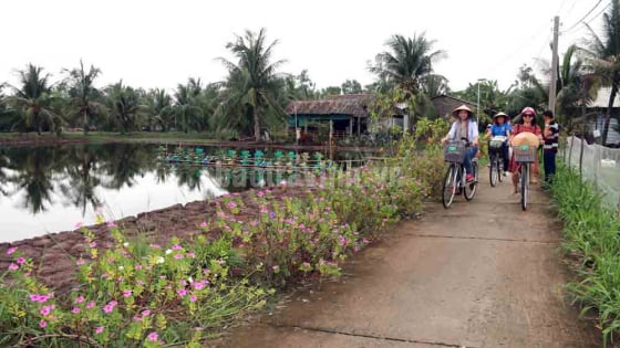 Trước khi sáp nhập Vĩnh Long, Bến Tre, tỉnh Trà Vinh có bước đột phá về một ngành kinh tế