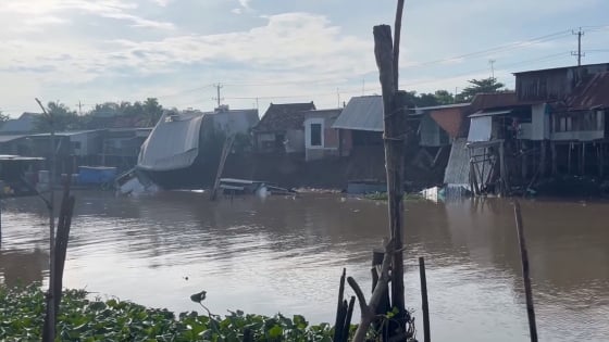 Đoạn bờ sông ông Chưởng ở Chợ Mới, An Giang sạt lở, sau tiếng rắc rắc, 10 căn nhà đổ sập xuống sông