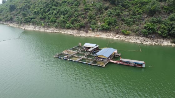 Người dân vùng hồ Thác Bà ở Yên Bái phát triển nhiều mô hình kinh tế hiệu quả, giảm nghèo bền vững