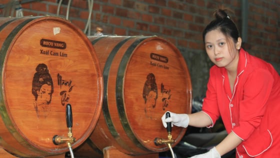 Khánh Hòa: Lần đầu khách hàng dùng rượu vang xoài Cam Lâm do nông dân chế biến