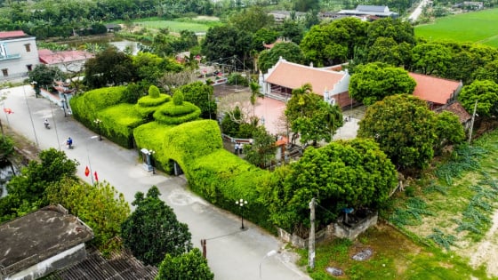 Trước khi sáp nhập, Nam Định định hình trong sự nghiệp xây dựng nước Đại Việt thời Lê sơ, địa bàn thường xuyên diễn ra tập trận
