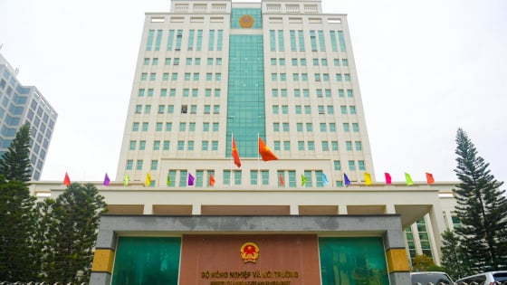 Đề xuất chuyển 86 thẩm quyền của Bộ trưởng Bộ Nông nghiệp và Môi trường về UBND cấp tỉnh
