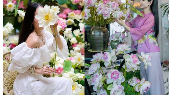 Mê mẩn không gian sống đầy ắp hoa sen của đôi bạn Hà Nội, Hải Phòng