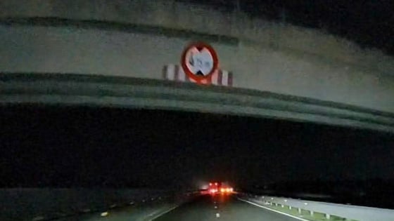 Điều tra vụ người đàn ông nhảy cầu vượt xuống cao tốc Trung Lương tử vong
