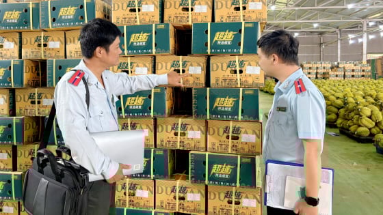 Đâu là “chìa khóa” giúp sầu riêng Đắk Lắk giữ vững thị trường?