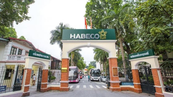 Habeco chốt ngày chi hơn 266 tỷ đồng trả cổ tức bằng tiền 11,5%