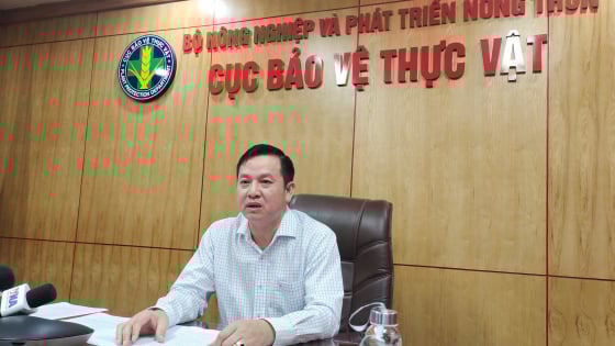Cục trưởng của Bộ Nông nghiệp và Môi trường nói về chuẩn hóa xuất khẩu sầu riêng, 'đường dài mới biết ngựa hay'