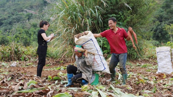 Một xã vùng thấp của tỉnh Hòa Bình, người dân trồng lúa, dong riềng, làm nghề phụ mà thoát nghèo, thu 52,4 triệu đồng/người/năm 