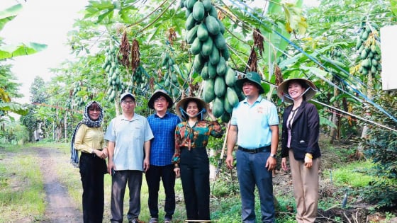 Hội Nông dân một xã ở Đồng Nai tham gia hiệu quả vào phát triển nông nghiệp trù phú, xã nông thôn mới nâng cao