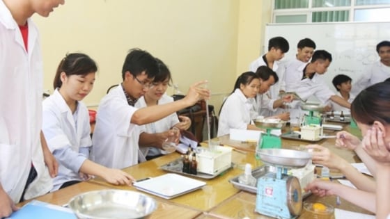 Hồi sinh ngành học 'hái ra tiền' trong nông nghiệp từng bị lãng quên