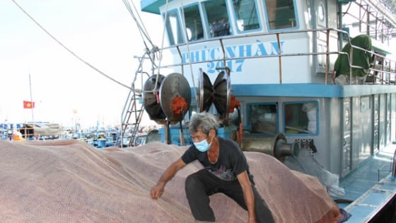 Vì sao thời điểm này trong năm dân Ninh Thuận hễ ra biển là bắt la liệt cá nhái, cá nục, cá sơn thóc, mang về là lãi đậm?