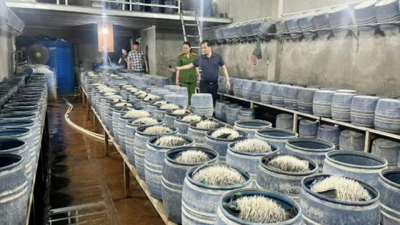 Tin hot thị trường ngày 27/5: Diễn biến mới liên quan mỹ phẩm của công ty chồng Đoàn Di Băng, Shopee, Lazada bị “gọi tên”