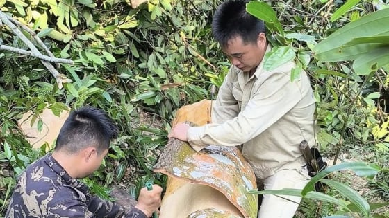 Việt Nam có nền tảng thuận lợi, vững chắc để thực hiện hiệu quả giảm nghèo đa chiều