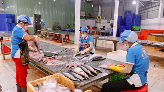 OCOP góp phần nâng “chất” nông thôn mới Hậu Giang