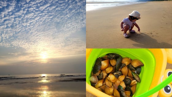  Bãi biển hoang sơ được ví như  'viên ngọc xanh lặng thầm của Hà Tĩnh' đốn tim du khách