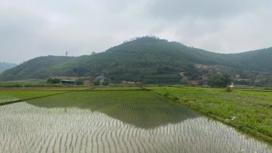 Điều kiện chuyển nhượng, tặng cho, thừa kế đất đai năm 2025