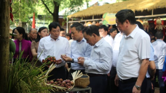 Một huyện của tỉnh Sơn La mở lễ hội cho loại trái cây đặc sản