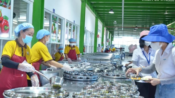 Trước giờ 'chung nhà' với An Giang, UBND tỉnh Kiên Giang ban hành một công văn chỉ đạo một lĩnh vực quan trọng