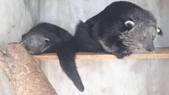 Qua một vụ án, Trung tâm này kiến nghị nhà nước cấp bách ban hành danh mục các loài động vật hoang dã được phép nuôi sinh sản vì mục đích thương mại