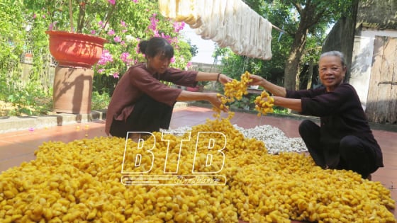 Trước giờ sáp nhập tỉnh Hưng Yên, Thái Bình làm tốt việc bảo tồn, phát triển làng nghề truyền thống, có làng nghề thu 40 tỷ/năm