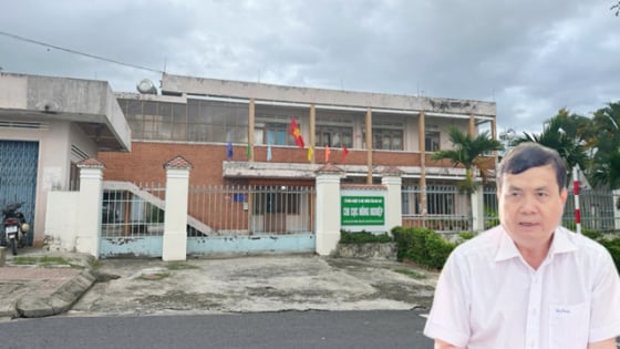UBND tỉnh chỉ đạo làm rõ vụ cấp mã vùng trồng sâm Ngọc Linh cho Công ty Rượu sâm Ngọc Linh Kon Tum