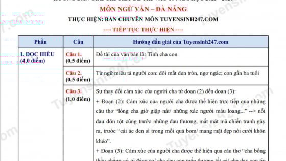 Đề thi môn Văn vào lớp 10 năm 2025 của Đà Nẵng có gợi ý đáp án 