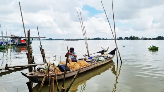 Trước giờ sáp nhập tỉnh Kiên Giang, An Giang có dòng sông bắt được cá to bự nhất, cá dữ nhất, làm đắm thuyền nhiều nhất miền Tây