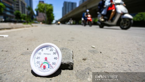 Phú Thọ: Một ngày, 7 bệnh nhân cấp cứu vì say nóng, 1 bệnh nhân nguy kịch