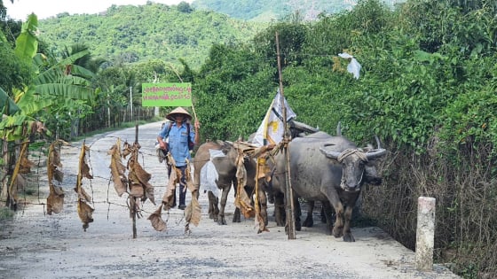 Huyện Cam Lâm (Khánh Hòa): Bị chậm cấp sổ đỏ, người dân rào chắn lối đi chung