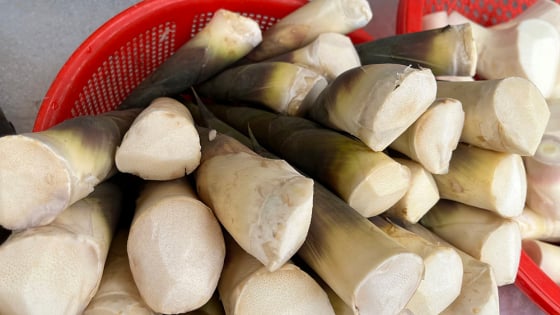 Quên rau dại đi, thứ củ rừng đào ở núi Cấm của An Giang này toàn 'thịt nạc', xào nấu kiểu gì cũng bén miệng