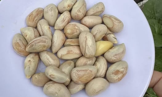 Bây giờ nói đến khối người cười vang, nhưng ngày xưa vì sao người ta hay ăn hạt mít luộc?