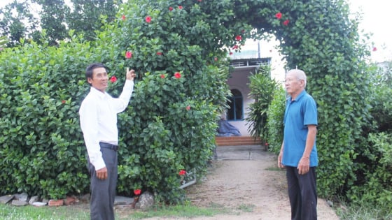 Trước khi sáp nhập tỉnh Bình Định, Gia Lai có một làng mà cư dân toàn công nhân thủy điện, cổng nhà trồng dâm bụt đẹp như phim