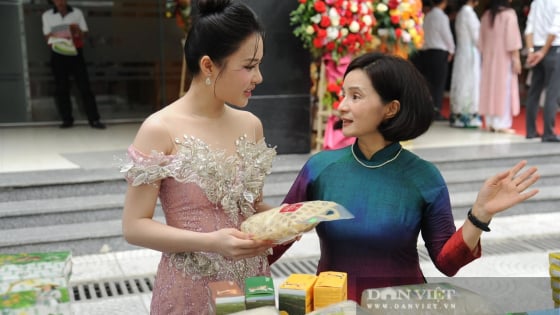 Những khoảnh khắc ấn tượng tại phiên chợ thiện nguyện kỷ niệm 15 năm thành lập Báo Dân Việt