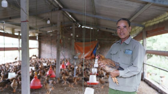 Một nông dân Hải Dương truyền cảm hứng làm giàu trước thềm sáp nhập với Hải Phòng, ông là ai?