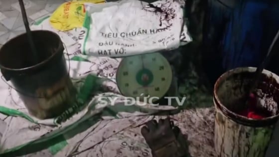 Cặp vợ chồng ở Khánh Hòa sản xuất “cà phê giả” mang lên Đắk Lắk tiêu thụ