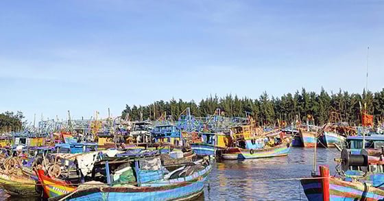 Trước giờ về với TP HCM, Bình Dương, ở Bà Rịa-Vũng Tàu có hàng trăm tàu cá phải nằm bờ vì 2 nguyên nhân nào?