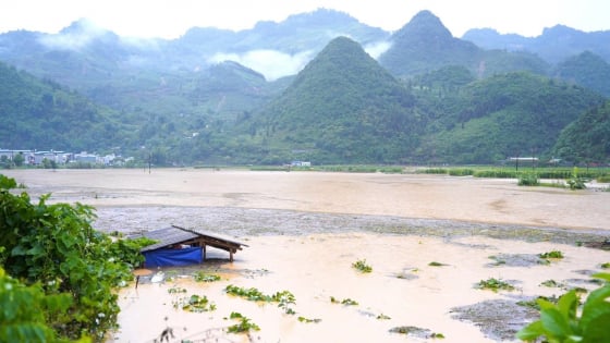 Lào Cai: Một người bị lũ cuốn mất tích khi đi vớt mạ dưới suối