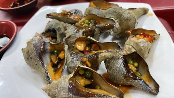 Ốc đặc sản Nha Trang là một loài hải sản lạ chỉ bò trên ghềnh đá sóng vỗ ì ầm