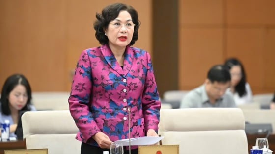 Thống đốc Nguyễn Thị Hồng: Khoản vay đặc biệt lãi suất 0% không dẫn tới rủi ro phải bù lãi suất