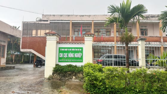 Chi cục Nông nghiệp Kon Tum tự điểm mặt sai sót và sửa sai vụ cấp mã vùng trồng sâm Ngọc linh 