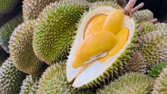 Ngon-bổ-rẻ: Chuỗi siêu thị nổi tiếng 'gây sốt' vì bán 35.000 đồng 1 quả sầu riêng