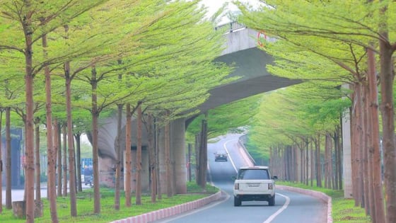 Hà Nội giao hơn 30.000m² đất xây dựng, cải tạo nhiều công trình công cộng