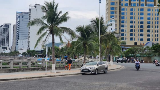 Khánh Hòa: Tiêu hủy 159 đơn vị sản phẩm và xử phạt hành chính cơ sở kinh doanh mỹ phẩm nhập lậu