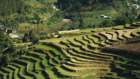 Tỉnh mới Lào Cai sở hữu điểm đến khiến dân phượt mê như điếu đổ, đẹp mê mẩn như tranh thủy mặc