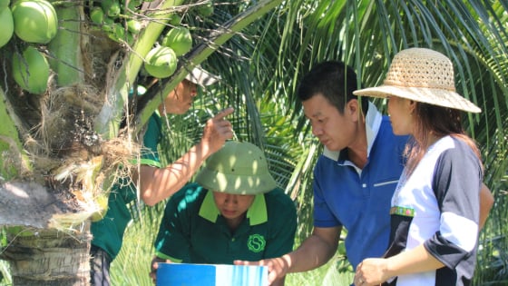 Bỏ phố biển về 'ăn ngủ với núi rừng', anh nông dân Khánh Hòa biến đất hoang thành trang trại tiền tỷ
