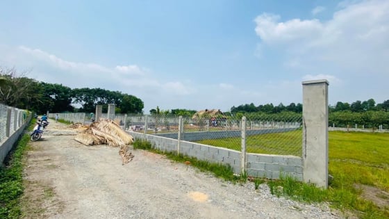 TP.HCM sẽ xử lý nghiêm các trường hợp thông đồng, thao túng khi đấu giá quyền sử dụng đất