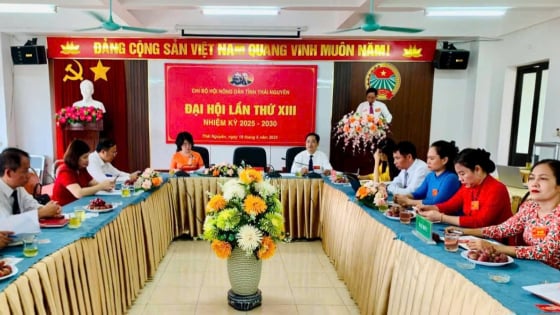 Đại hội Chi bộ Hội Nông dân tỉnh Thái Nguyên: Khẳng định vai trò lãnh đạo, mở đường phát triển trong giai đoạn mới 