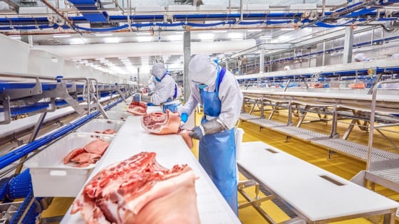 So găng doanh nghiệp nội và ngoại trong ngành chăn nuôi 