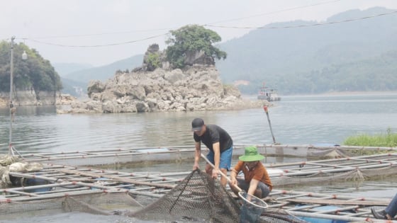 Giờ sáp nhập cận kề tỉnh Vĩnh Phúc, Phú Thọ, ở Hòa Bình “mặt nước chuyên dùng” ở Cao Phong, vùng lặng sóng hay điểm nóng quản lý?